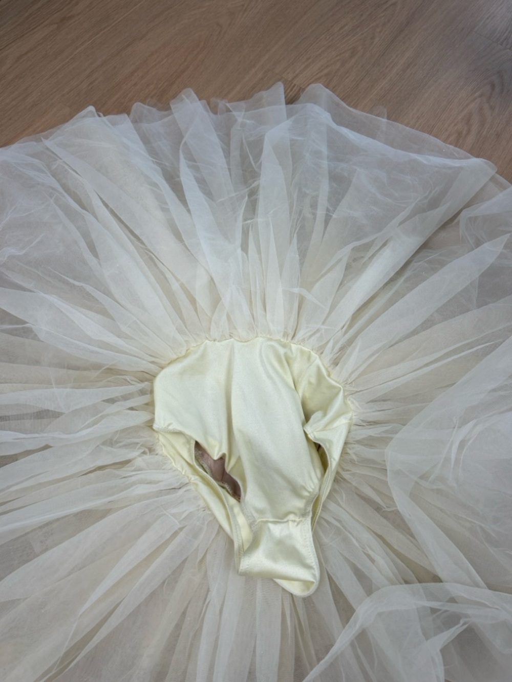 Weissman Adio's Nonino 10940 Dance Costume Adult S - Picture 6 of 8